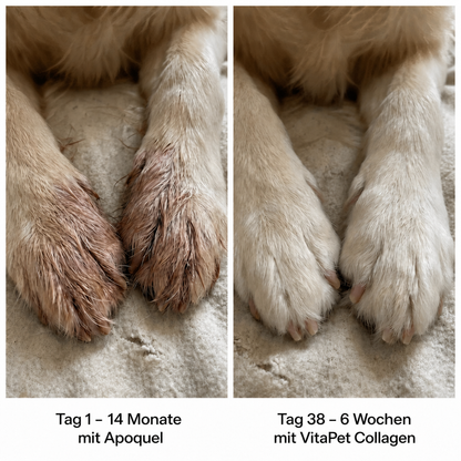 VitaPet Triple Collagen