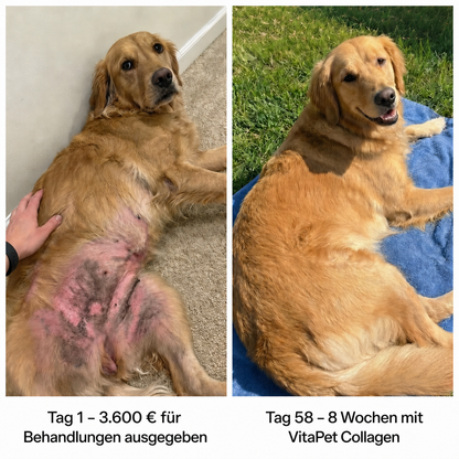 VitaPet Triple Collagen