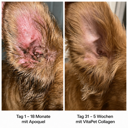 VitaPet Triple Collagen