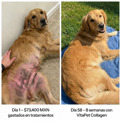 VitaPet Triple Collagen