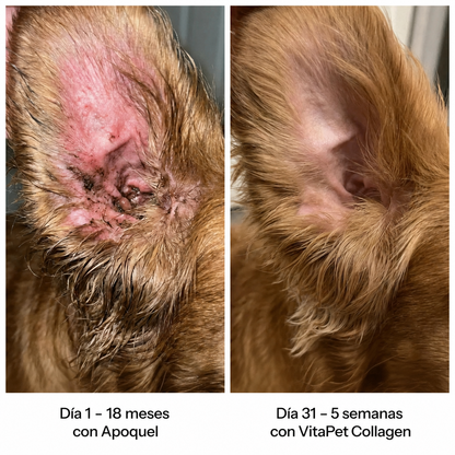 VitaPet Triple Collagen